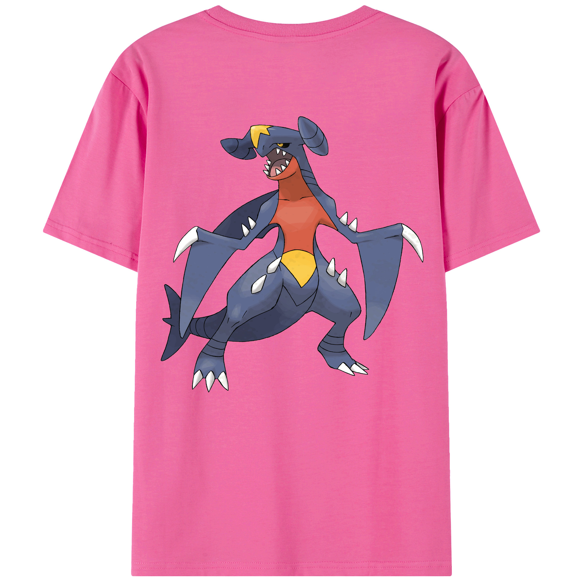 （画像用） ポケットモンスター Pokémon レディース半袖Tシャツ(バックプリント)